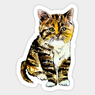 striped kitten Sticker